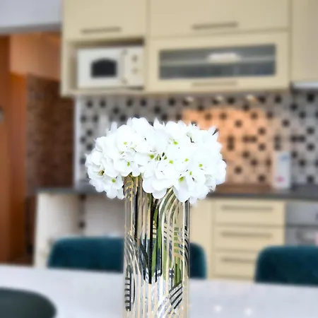 Emerald Marble Serenity *